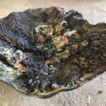 Abstract 3
Mixed media